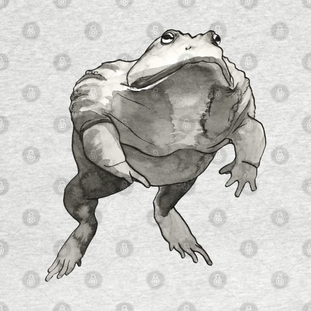 African Bullfrog Black and White Ink Drawing by Ciarabarsotti